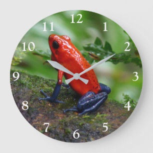 Red & Blue Poison Dart Frog Large Clock
