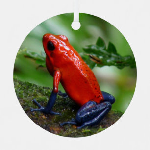 Red & Blue Poison Dart Frog Metal Tree Decoration