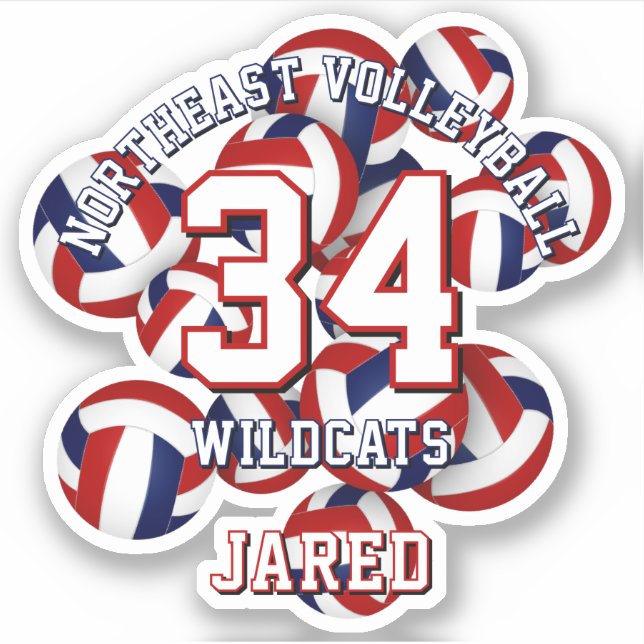 red blue sports team colours volleyballs kids (Front)