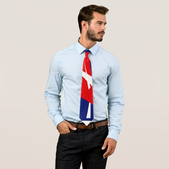 Red Blue White Abstract Art Tie (In Situ)