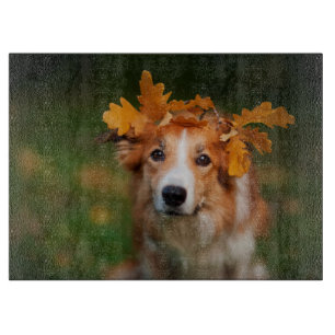 Red Border Collie With a Garland of Autumn Leaves Cutting Board