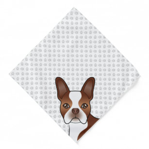 boston terrier clothes and accessories