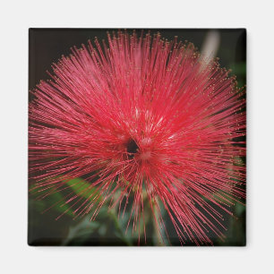 Red Bottle Brush Magnet