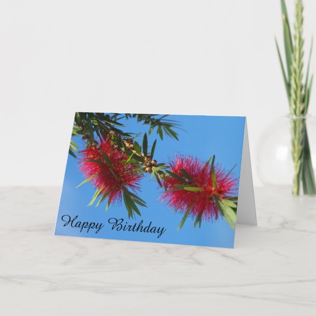 Red bottlebrush blank birthday card (Front)