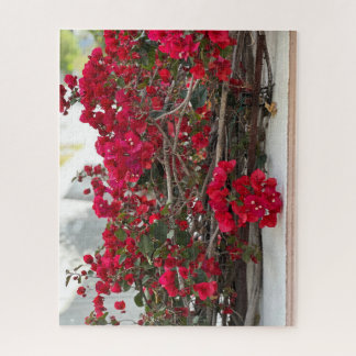 Red Bougainvillea, Burlingame Jigsaw Puzzle