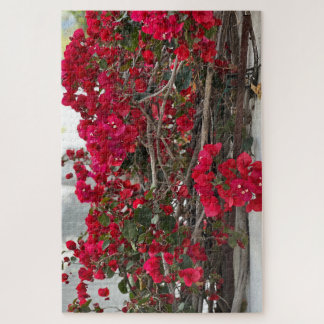 Red Bougainvillea, Burlingame Jigsaw Puzzle