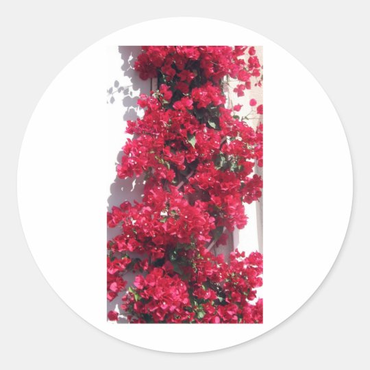 Red Bougainvillea Classic Round Sticker