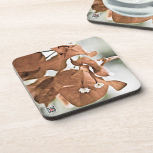 Red Bougainvillea Coaster