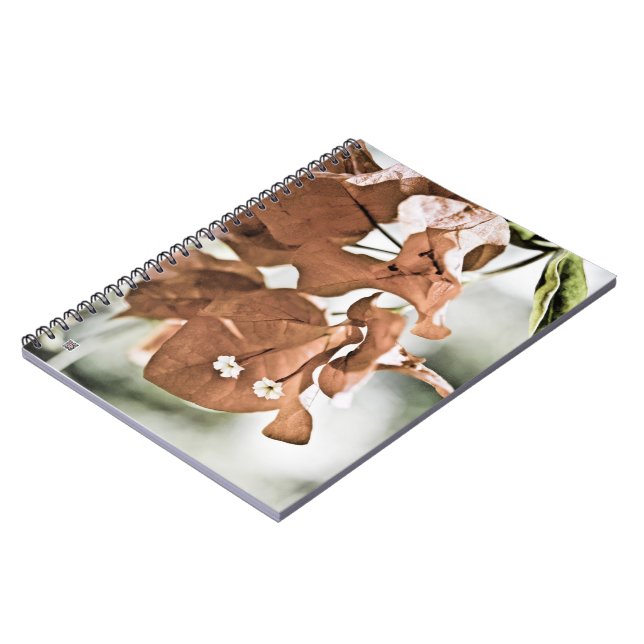 Red Bougainvillea Notebook (Left Side)