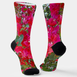 Red Bougainvillea, Socks
