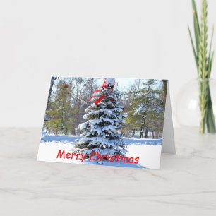 Red Bow Evergreen Holiday Card