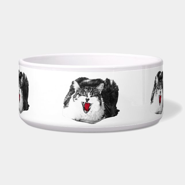Red Bowl, Shaded Smile (Front)