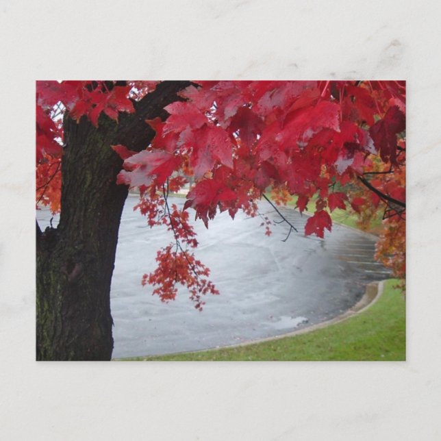 red branch postcard (Front)