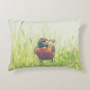 Red-Breasted American Robin Bird Decorative Cushion