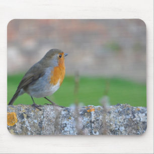 Red-breasted Flycatcher Mouse Mat