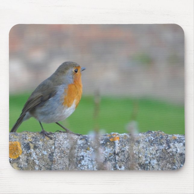 Red-breasted Flycatcher Mouse Mat (Front)