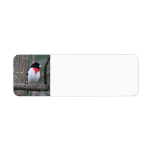 Red Breasted Grosbeak Address label