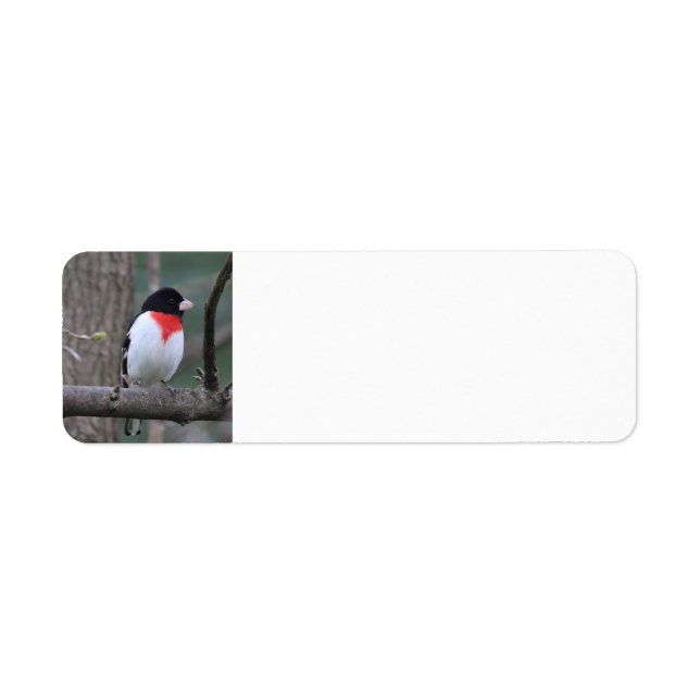 Red Breasted Grosbeak Address label (Front)