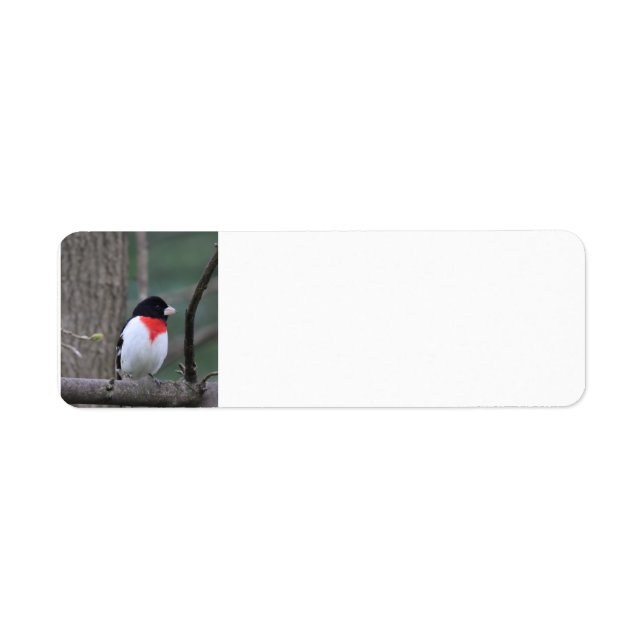 Red-Breasted Grosbeak address labels (Front)
