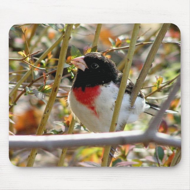 Red Breasted Grosbeak Mouse Mat (Front)