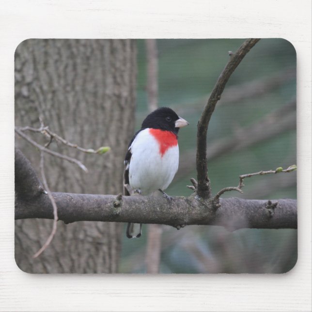 Red-Breasted Grosbeak mouse pad (Front)