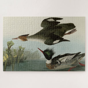 Red-breasted Merganser, Audubon's Birds of America Jigsaw Puzzle