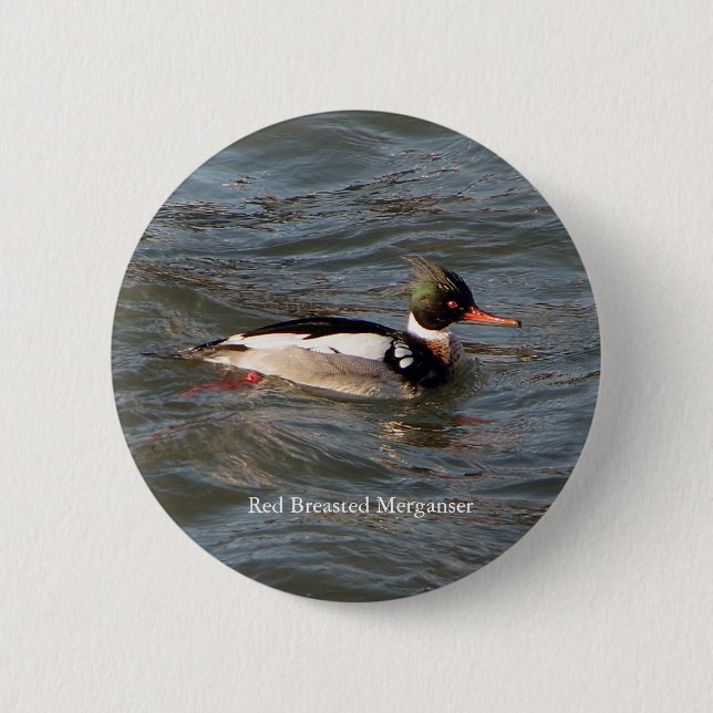 Red Breasted Merganser button (Front)