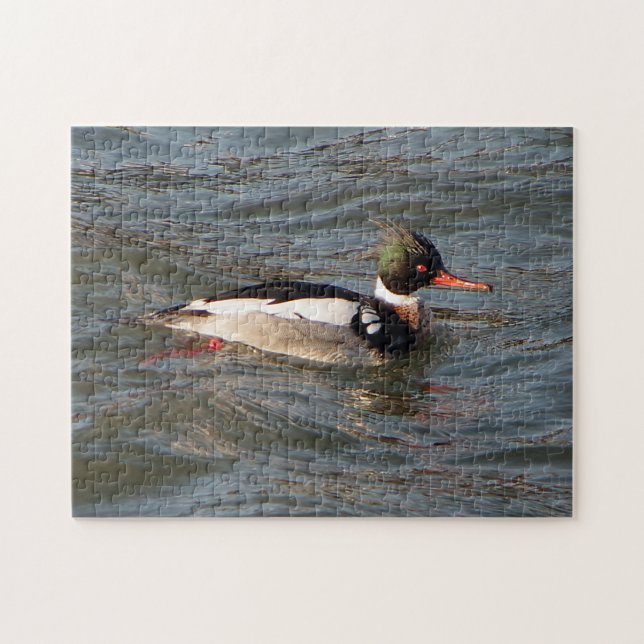 Red Breasted Merganser jigsaw puzzle (Horizontal)