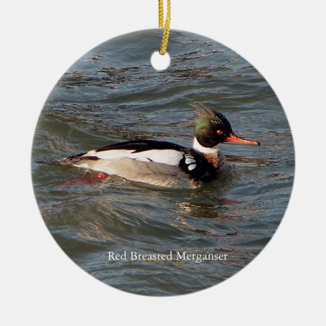 Red Breasted Merganser ornament (Front)