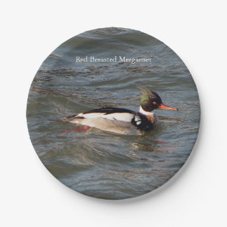 Red Breasted Merganser paper plate
