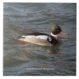 Red Breasted Merganser tile