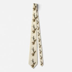 Red-breasted Nuthatch - Audubon's Birds of America Tie