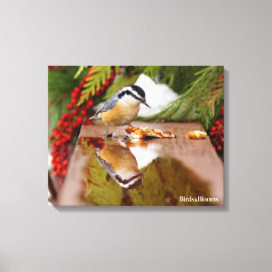 Red-breasted Nuthatch Canvas Print