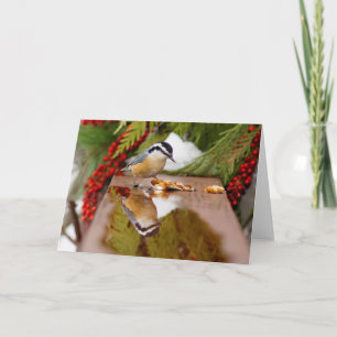 Red-breasted Nuthatch Card