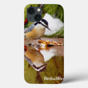 Red-breasted Nuthatch iPhone 13 Case
