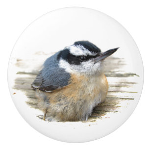 Red-breasted Nuthatch Ceramic Knob
