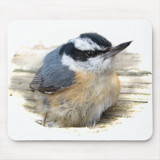 Red-breasted Nuthatch Mouse Mat (Front)
