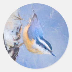 Red-Breasted Nuthatch Painting Original Bird Art Classic Round Sticker