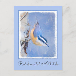 Red-Breasted Nuthatch Painting Original Bird Art Postcard