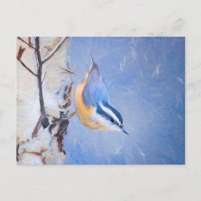 Red-Breasted Nuthatch Painting Original Bird Art Postcard (Front)