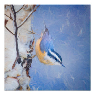 Red-Breasted Nuthatch Painting Original Bird Art Poster