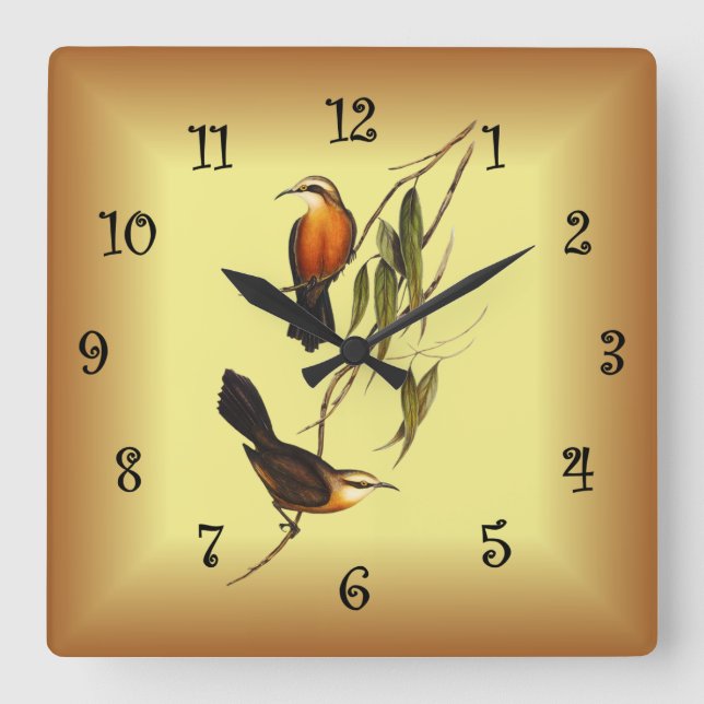 Red-breasted Pomatorhinus ~ Elizabeth Gould 01 V4  Square Wall Clock (Front)
