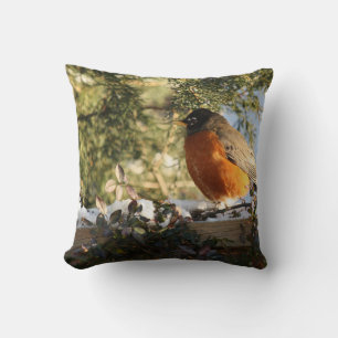 Red Breasted Robin Bird Cushion