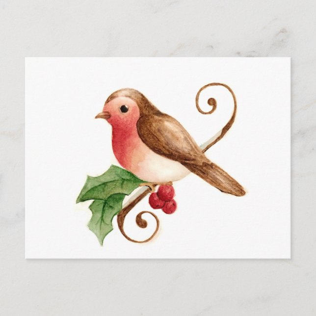 Red-Breasted Robin with Holly Postcard (Front)