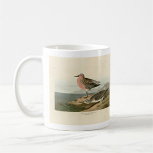 Red-breasted Sandpiper, Audubon's Birds of America Coffee Mug