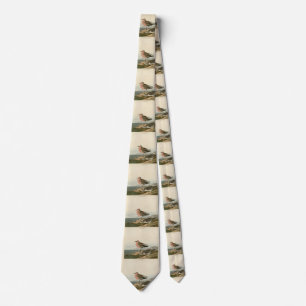 Red-breasted Sandpiper, Audubon's Birds of America Tie