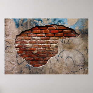 Red Brick Under Graffiti Laced Cement Wall Poster