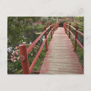 Red bridge over pond, Magnolia Plantation, Postcard