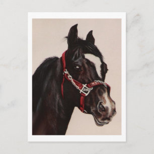 Red Bridle Postcard