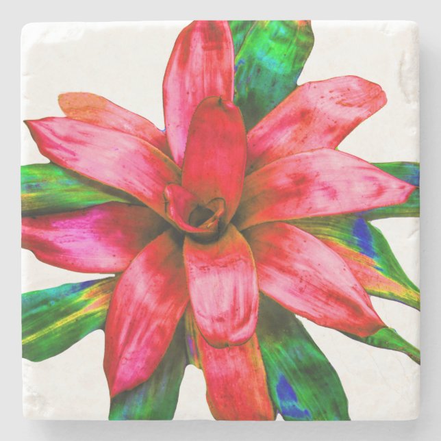 Red Bromeliad Coaster Marble (Front)